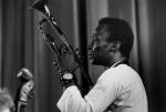 Miles Davis: Birth of the Cool - pokaz specjalny