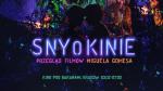 Sny o kinie - przegld filmw Miguela Gomesa