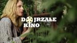 Dojrzae Kino: Innego koca nie bdzie