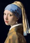 Sztuka na ekranie: „Dziewczyna z perłą” i inne skarby haskiego Mauritshuisu
