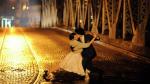 Barany w MOSie: Ostatnie tango - projekcja filmu i pokaz tanga